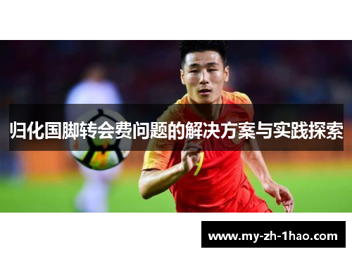 归化国脚转会费问题的解决方案与实践探索