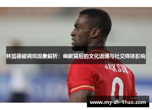 林加德被调侃现象解析：幽默背后的文化语境与社交媒体影响