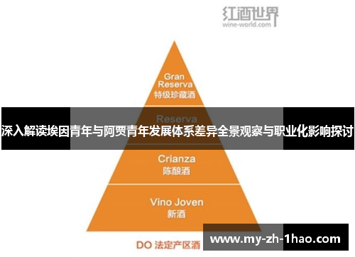 深入解读埃因青年与阿贾青年发展体系差异全景观察与职业化影响探讨